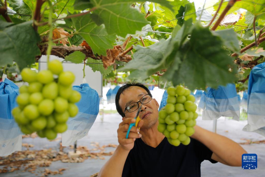 MG游戏试玩